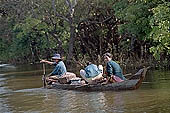 Tonle Sap - Kampong Phluk - Flooded mangrove forest